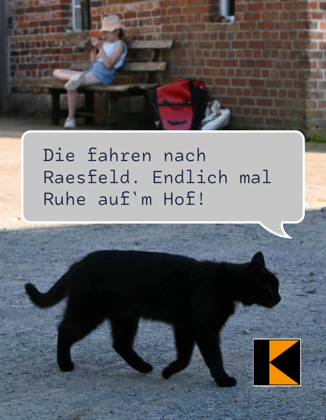 Heuels_Katze_2026